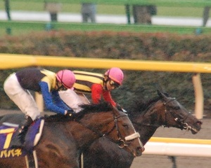 顔を見合わせる蛯名正義と横山典弘