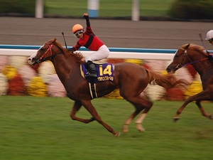 オウケンブルースリ