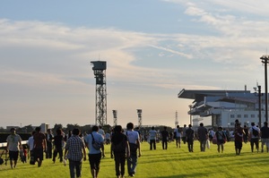 新潟競馬場・芝コース