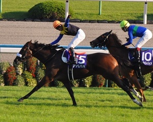 アパパネ牝馬３冠達成