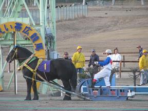 ばんえい記念優勝馬トモエパワー