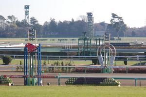 中山競馬場