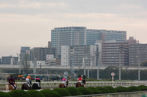 大井競馬場