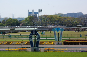 東京競馬場