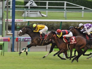 シンゲンが先頭でゴール