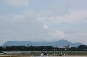 函館山が見えます