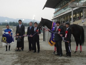 リュウノキングダム