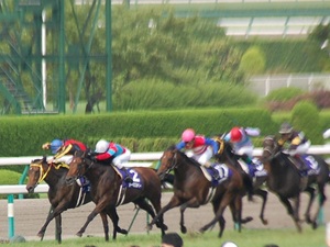 最後の直線での攻防