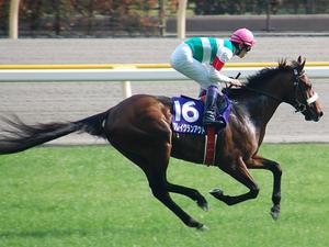 ブレイクランアウト