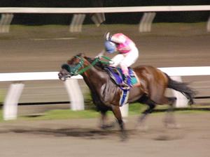 スパイナルコード＆西川敏弘