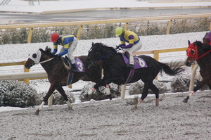 １周目スタンド前