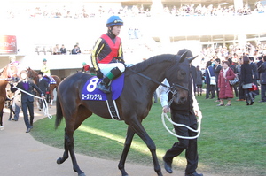 ローズキングダム