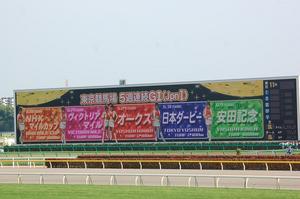 ５週連続Ｇ１（Jpn１）