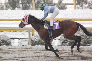 アンダーボナンザが先頭でゴール
