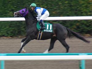 ダイワエンパイア