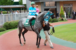 デストラメンテ