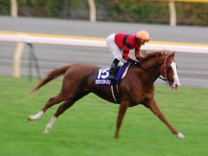 オウケンブルースリ