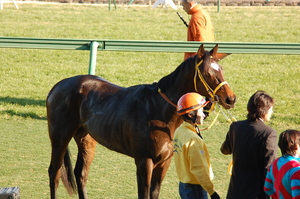 ベストメンバー