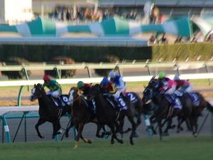 エイシンアポロンに並びかけるローズキングダム