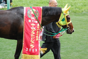 スプリングゲント