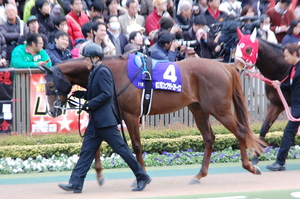 エスポワールシチー