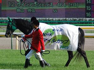 優勝馬ジョーカプチーノ