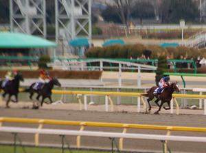 エスポワールシチーが突き抜ける