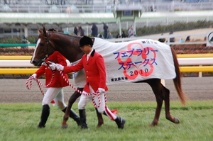 エスポワールシチー