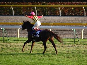 ミルコ・デムーロ