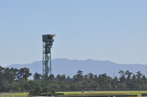 新潟競馬場