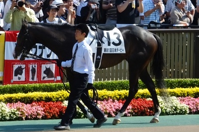 イスラボニータ