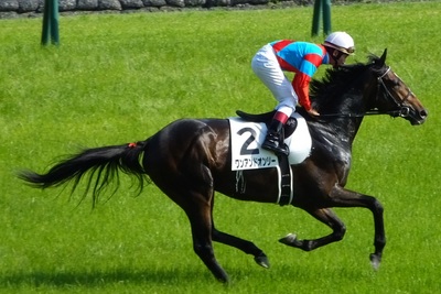 ワンアンドオンリー