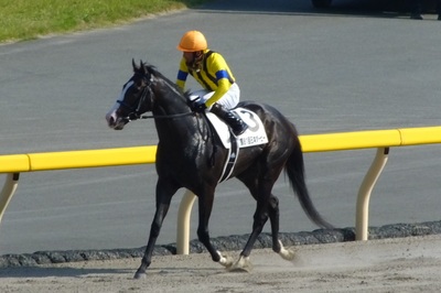 イスラボニータ