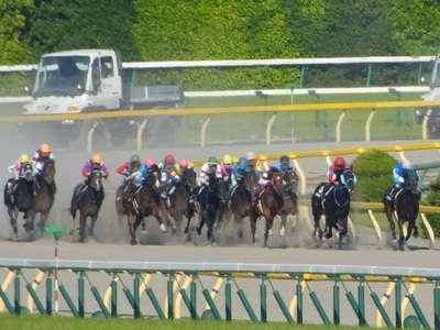 富嶽賞　４コーナー