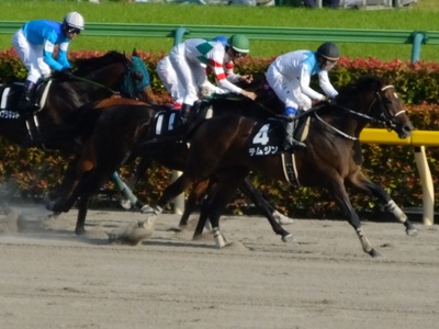 富嶽賞　直線の攻防