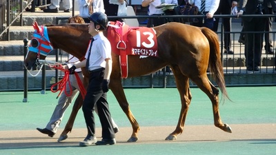 タマモベストプレイ