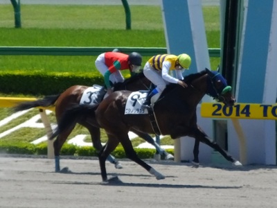 石川裕紀人騎手初勝利