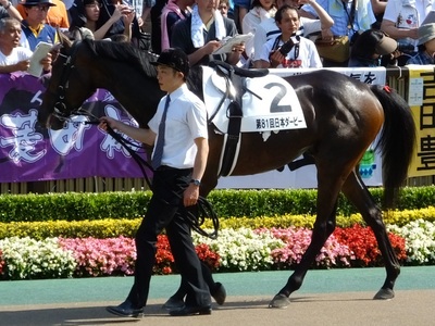 ワンアンドオンリー