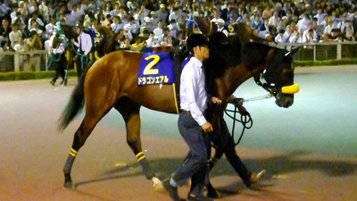 ドラゴンエアル