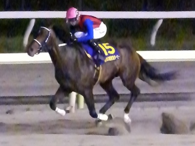 ハッピースプリントが独走