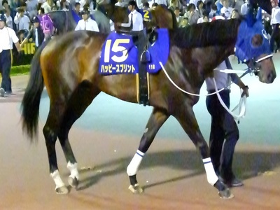 ハッピースプリント