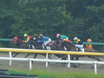 積極的にハナへ