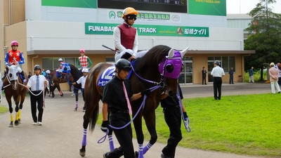 トーセンアドミラル