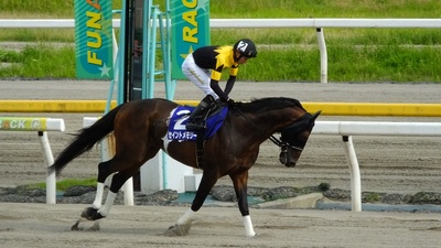 セイントメモリー