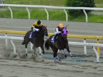 トーセンアドミラルが先頭に