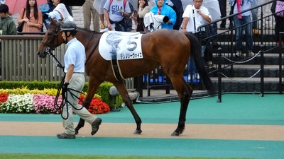 テンダリーヴォイス