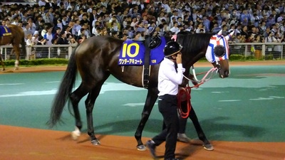 ワンダーアキュート