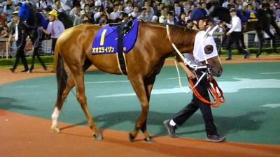 オオエライジン