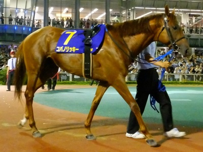 コパノリッキー