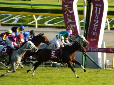 ディアデラマドレが先頭でゴール